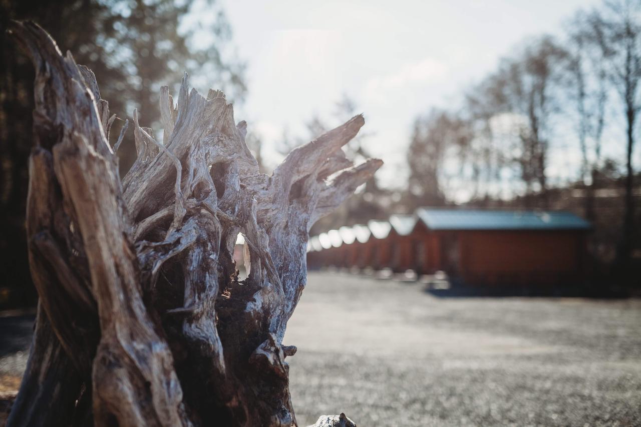 Port Hardy Cabins エクステリア 写真