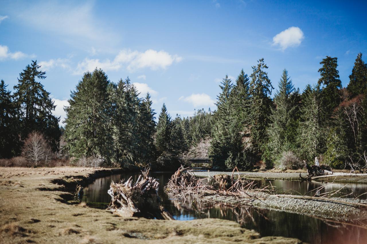 Port Hardy Cabins エクステリア 写真